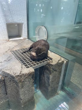 NIFREL（ニフレル）に投稿された画像（2024/5/5）