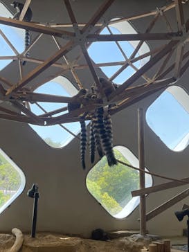 NIFREL（ニフレル）に投稿された画像（2024/5/5）