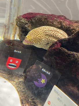 NIFREL（ニフレル）に投稿された画像（2024/5/5）