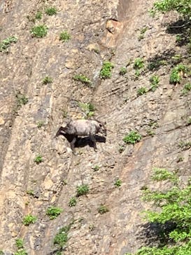清津峡渓谷トンネルに投稿された画像（2024/5/5）