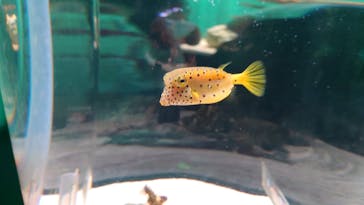 NIFREL（ニフレル）に投稿された画像（2024/5/5）