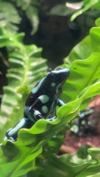 マクセル アクアパーク品川に投稿された画像（2024/5/5）