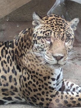 那須どうぶつ王国に投稿された画像（2024/5/5）