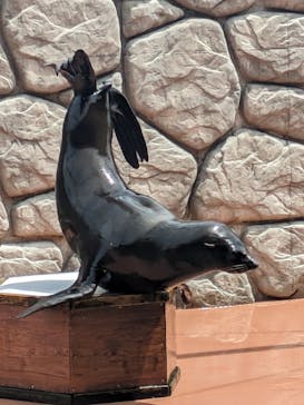 那須どうぶつ王国に投稿された画像（2024/5/5）