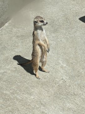 那須どうぶつ王国に投稿された画像（2024/5/5）