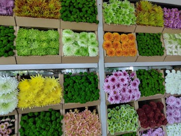 浜名湖花博2024に投稿された画像（2024/5/5）