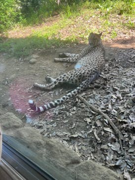 よこはま動物園ズーラシアに投稿された画像（2024/5/5）