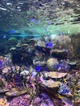名古屋港水族館に投稿された画像（2024/5/5）