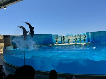 新江ノ島水族館に投稿された画像（2024/5/5）