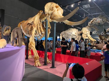 特別展「大哺乳類展３－わけてつなげて大行進」に投稿された画像（2024/5/5）