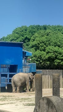 千葉市動物公園に投稿された画像（2024/5/5）