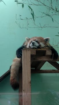 千葉市動物公園に投稿された画像（2024/5/5）