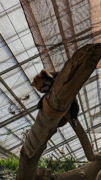 神戸どうぶつ王国に投稿された画像（2024/5/5）