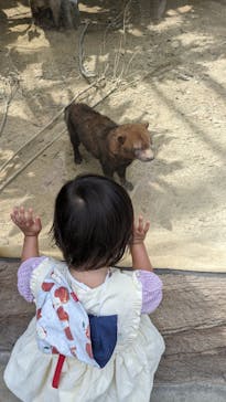 神戸どうぶつ王国に投稿された画像（2024/5/5）