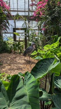 神戸どうぶつ王国に投稿された画像（2024/5/5）