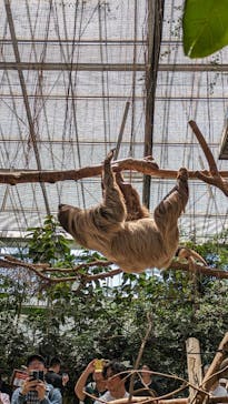 神戸どうぶつ王国に投稿された画像（2024/5/5）