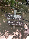 天王寺動物園に投稿された画像（2024/5/5）