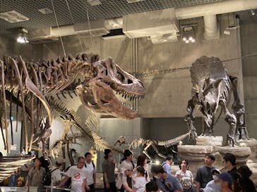 国立科学博物館に投稿された画像（2024/5/5）
