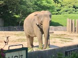 千葉市動物公園に投稿された画像（2024/5/5）