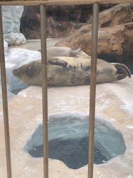 越前松島水族館に投稿された画像（2024/5/5）