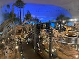 福井県立恐竜博物館に投稿された画像（2024/5/5）