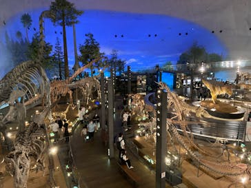 福井県立恐竜博物館に投稿された画像（2024/5/5）