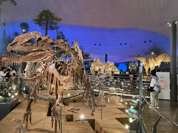 福井県立恐竜博物館に投稿された画像（2024/5/5）