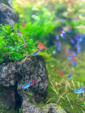 すみだ水族館に投稿された画像（2024/5/5）