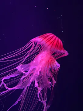 すみだ水族館に投稿された画像（2024/5/5）