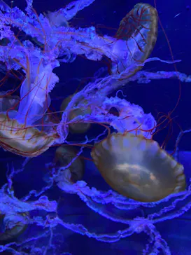 すみだ水族館に投稿された画像（2024/5/5）