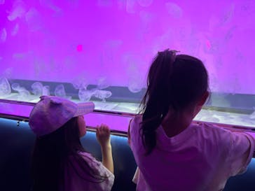 アクアワールド茨城県大洗水族館に投稿された画像（2024/5/5）