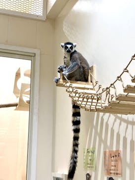 アニタッチららぽーと名古屋みなとアクルスに投稿された画像（2024/5/5）