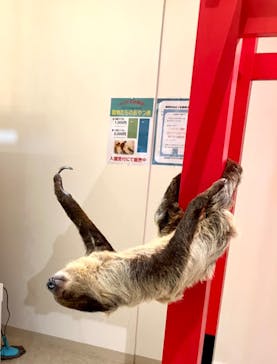 アニタッチららぽーと名古屋みなとアクルスに投稿された画像（2024/5/5）