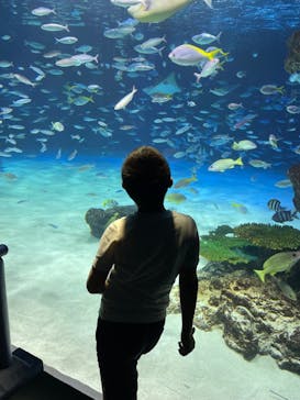 サンシャイン水族館に投稿された画像（2024/5/5）