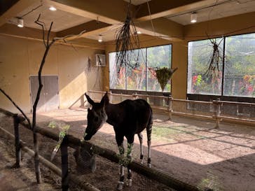 よこはま動物園ズーラシアに投稿された画像（2024/5/5）