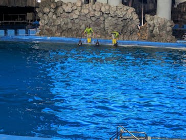 名古屋港水族館に投稿された画像（2024/5/5）