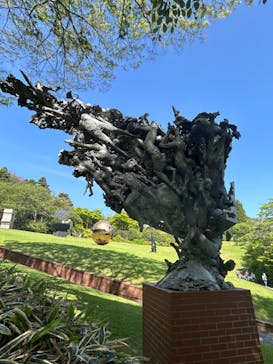彫刻の森美術館に投稿された画像（2024/5/5）