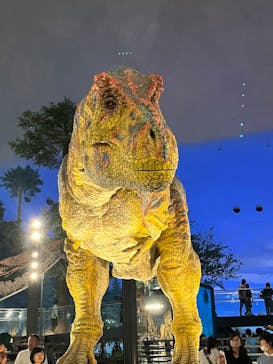 福井県立恐竜博物館に投稿された画像（2024/5/5）