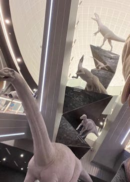 福井県立恐竜博物館に投稿された画像（2024/5/5）