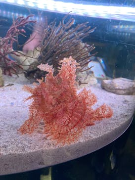 マクセル アクアパーク品川に投稿された画像（2024/5/5）