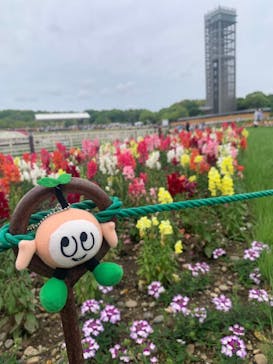 浜名湖花博2024に投稿された画像（2024/4/29）