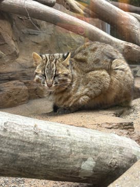 那須どうぶつ王国に投稿された画像（2024/5/5）
