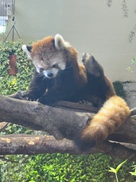 那須どうぶつ王国に投稿された画像（2024/5/5）