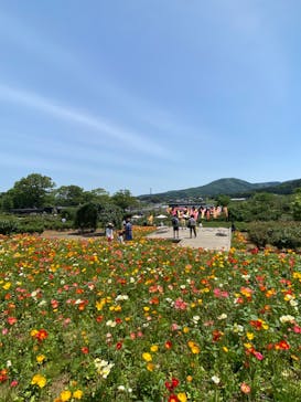 いばらきフラワーパークに投稿された画像（2024/5/5）