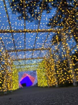 KYOTO ILLUMINATION SYNESTHESIA HILLS るり渓温泉に投稿された画像（2024/5/5）