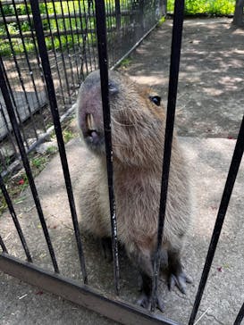 群馬サファリパークに投稿された画像（2024/5/5）