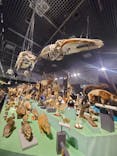 特別展「大哺乳類展３－わけてつなげて大行進」に投稿された画像（2024/5/5）