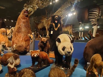 特別展「大哺乳類展３－わけてつなげて大行進」に投稿された画像（2024/5/5）