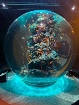 AQUARIUM × ART　atoa×felissimo chocolate museum（フェリシモ チョコレート ミュージアム）に投稿された画像（2024/5/5）