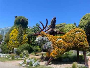 浜名湖花博2024に投稿された画像（2024/5/5）